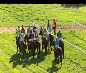 Video preview image for Cork 15:30 - 2019 Annual Membership Available Now Handicap Hurdle