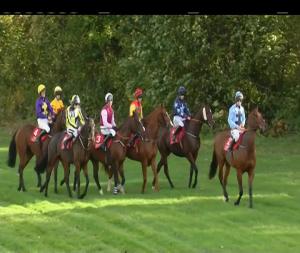 Video preview image for Cork 16:00 - coopsuperstores.ie Handicap Chase (Grade B)