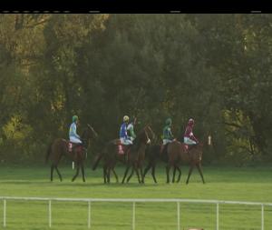 Video preview image for Cork 16:35 - Irish Stallion Farms European Breeders Fund Rated Novice Chase