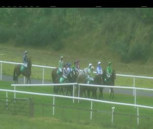 Video preview image for Downpatrick 17:25 - Tony Patterson Sports Grounds Handicap Chase
