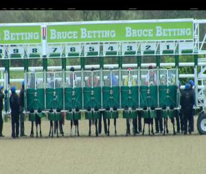 Video preview image for Dundalk 14:50 - Floodlit Friday Nights At Dundalk Maiden 