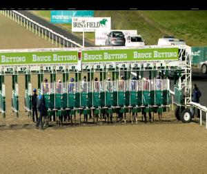 Video preview image for Dundalk 17:30 - www.dundalkstadium.com Maiden 