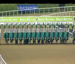 Video preview image for Dundalk 18:00 - Crowne Plaza Hotel Dundalk Handicap 