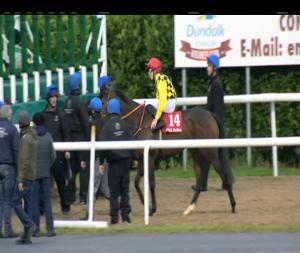 Video preview image for Dundalk 18:30 - Brexit Auctions Claiming Maiden