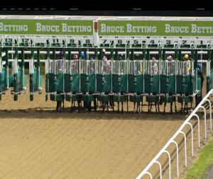 Video preview image for Dundalk 18:30 - Bar One Racing Nursery Handicap