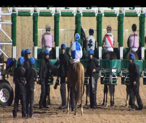 Video preview image for Dundalk 20:00 - Dundalk Stadium On Facebook Apprentice Handicap