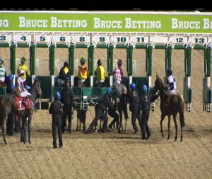 Video preview image for Dundalk 21:00 - Carrickdale Hotel & Spa Handicap