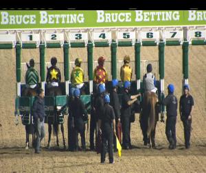 Video preview image for Dundalk 21:00 - Crowne Plaza Race & Stay Handicap