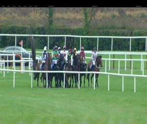 Video preview image for Fairyhouse 17:30 - Irish Stallion Farms European Breeders Fund Mares I.N.H. Flat