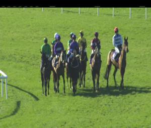 Video preview image for Galway 13:05 - W.B. Gavin & Co. Irish European Breeders Fund Beginners Chase