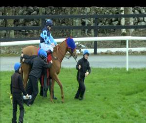 Video preview image for Galway 13:10 - www.swordsecurity.com Nursery Handicap