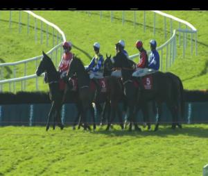 Video preview image for Galway 14:50 - Annesley Williams Rated Novice Hurdle