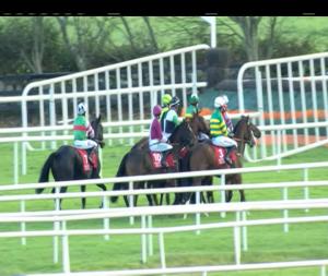 Video preview image for Galway 16:25 - Faber Audiovisuals Handicap Hurdle