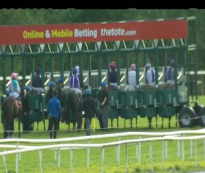 Video preview image for Gowran Park 13:45 - Follow Gowran Park Racecourse On Twitter Fillies Maiden