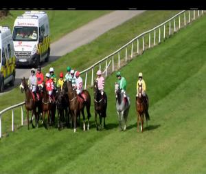 Video preview image for Gowran Park 13:55 - Thomastown Handicap Hurdle