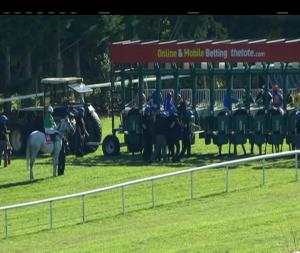 Video preview image for Gowran Park 13:55 - Irish Stallion Farms European Breeders Fund Maiden 