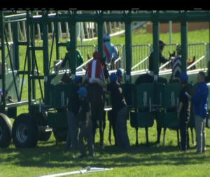 Video preview image for Gowran Park 14:25 - Thomastown Fillies Median Auction Maiden