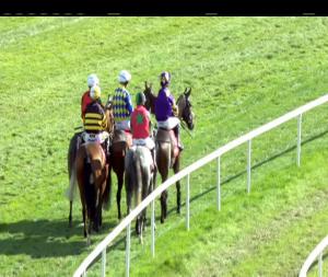 Video preview image for Gowran Park 14:30 - Connolly's Red Mills Irish European Breeders Fund Auction Maiden Hurdle 