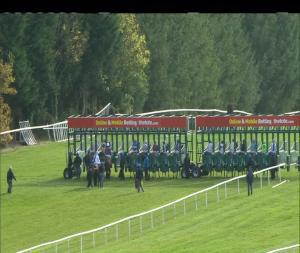 Video preview image for Gowran Park 14:45 - Goresbridge (C & G) Median Auction Maiden