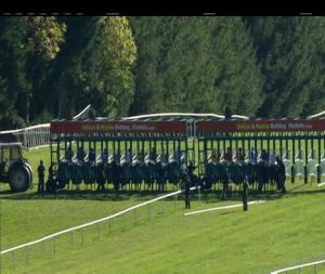Video preview image for Gowran Park 14:55 - www.gowranpark.ie Handicap