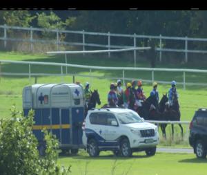 Video preview image for Gowran Park 15:05 - Kilkenny Racing Festival Handicap Hurdle (Grade B)