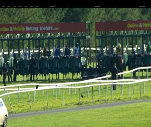 Video preview image for Gowran Park 15:25 - Gowran Park Racing Club Nursery Handicap