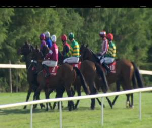 Video preview image for Gowran Park 15:40 - Pwc Champion Chase (Grade 2)