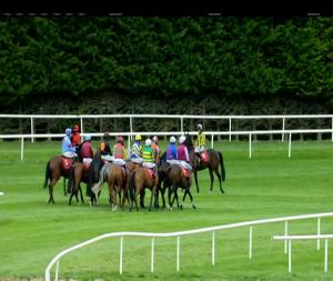Video preview image for Gowran Park 16:15 - Mcdonalds Kilkenny Handicap Hurdle