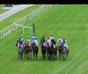 Video preview image for Gowran Park 17:20 - Irish Stallion Farms European Breeders Fund Mucklemeg Mares I.N.H. Flat (Listed)