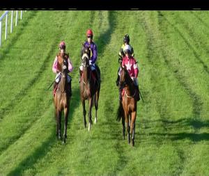 Video preview image for Gowran Park 17:25 - Join Our Racing Club Beginners Chase