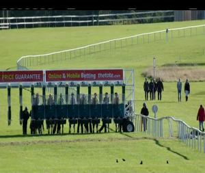 Video preview image for Leopardstown 15:05 - tote.com Knockaire Stakes (Listed)