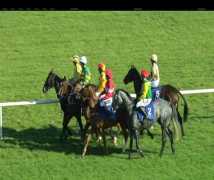 Video preview image for Limerick 13:50 - Dunraven Adare Novice Hurdle (Listed)