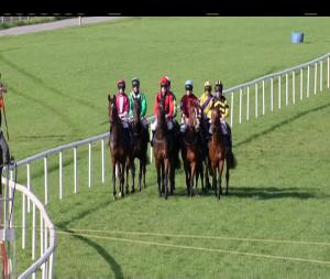 Video preview image for Limerick 14:25 - Irish Racing Wall Calendar 2019 Mares Handicap Hurdle 