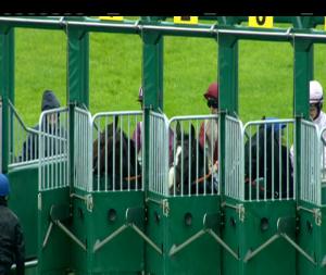 Video preview image for Limerick 15:20 - Jt McNamara Ladbrokes Munster National Tomorrow  At Limerick Racecourse Apprentice Handicap  (Div 1)