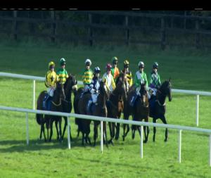 Video preview image for Limerick 15:35 - David Fitzgerald Memorial Handicap Hurdle 
