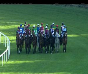 Video preview image for Limerick 16:45 - Jt McNamara Ladbrokes Munster National Handicap Chase (Grade A)
