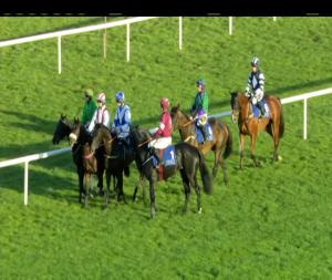 Video preview image for Limerick 17:20 - Racing Post Irish European Breeders Fund Beginners Chase