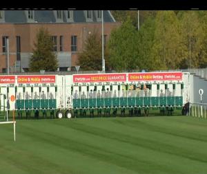 Video preview image for Naas 14:05 - Rathasker Stud Irish European Breeders Fund Fillies Maiden