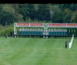 Video preview image for Naas 17:00 - Christmas Party Raceday At Naas Handicap (Div 2)