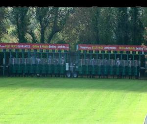 Video preview image for Navan 13:35 - Irish Stallion Farms European Breeders Fund Maiden 