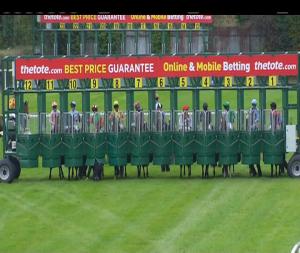 Video preview image for Navan 13:35 - Irish Stallion Farms European Breeders Fund Maiden
