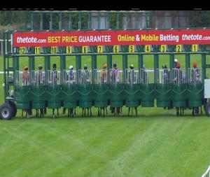 Video preview image for Navan 14:05 - Come Racing 11th November Nursery Handicap