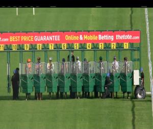 Video preview image for Navan 15:50 - Staffordstown Stud Stakes (Listed)