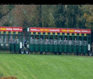 Video preview image for Navan 15:50 - Navan Welcomes Owners Maiden