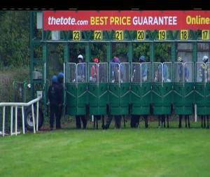 Video preview image for Navan 16:25 - Arkle Bar Handicap