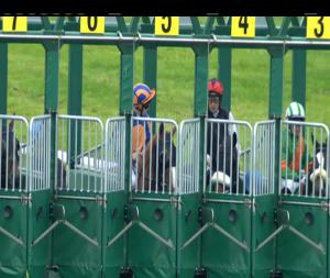 Video preview image for Navan 17:00 - Come Racing Again Sunday 11th November Maiden