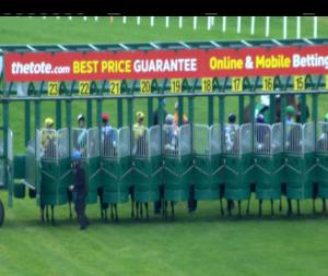 Video preview image for Navan 17:35 - www.navanracecourse.ie Handicap