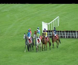 Video preview image for Punchestown 14:35 - Irish National Stud Handicap Hurdle 