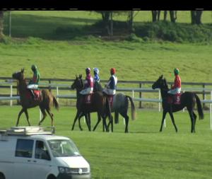Video preview image for Punchestown 15:40 - Buck House Novice Chase (Grade 3)
