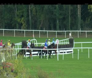 Video preview image for Punchestown 17:15 - Black Hills Mares I.N.H. Flat